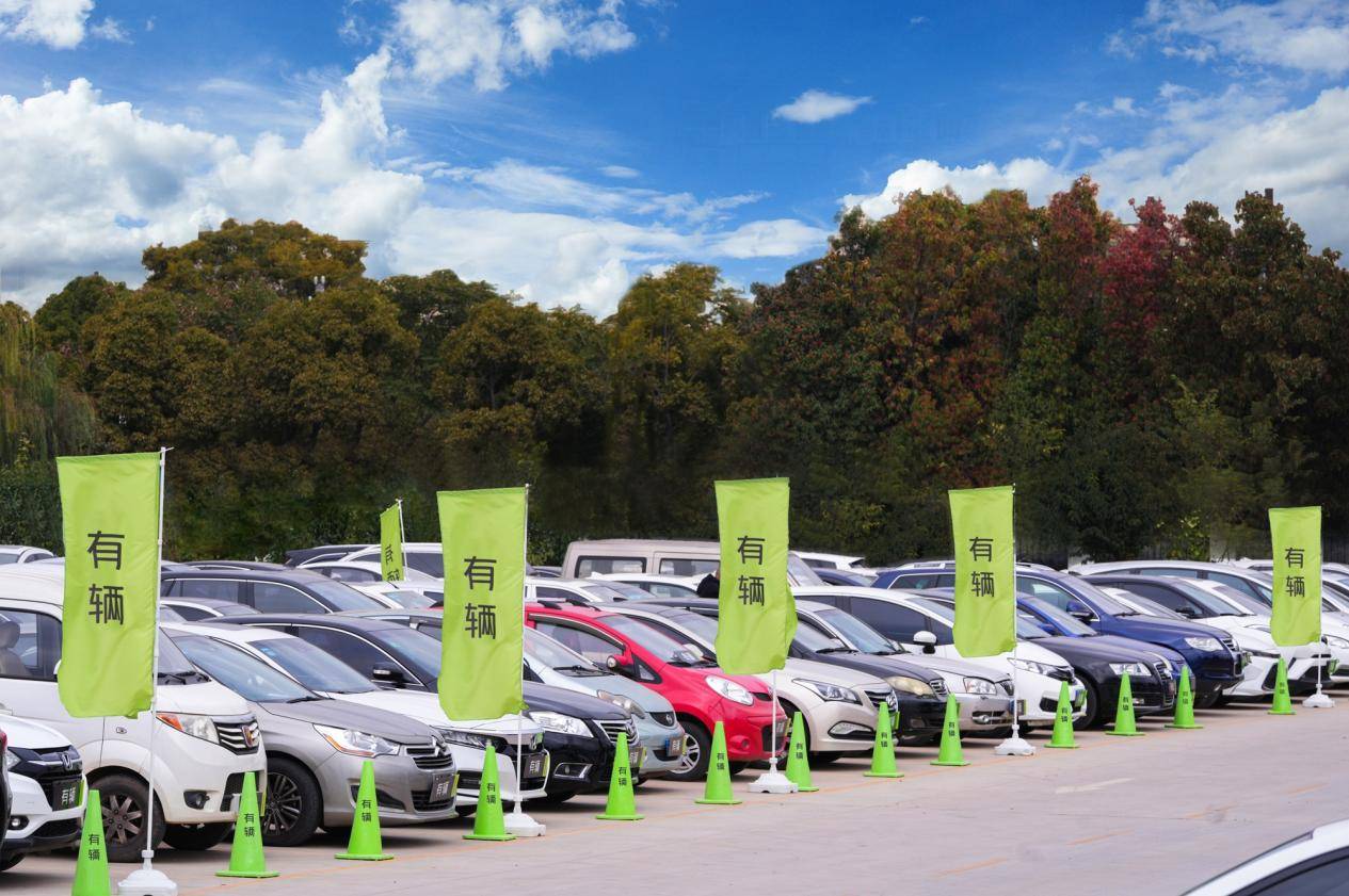 Kaiyun網(wǎng)址 開云有輛聯(lián)合SG Auto發(fā)布2024年二手車價格趨勢(圖5)